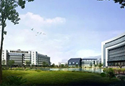 浙江中醫(yī)藥大學濱江學院